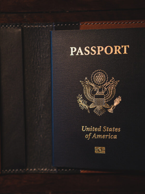 The-Voyager-Navy-Chestnut-Passport